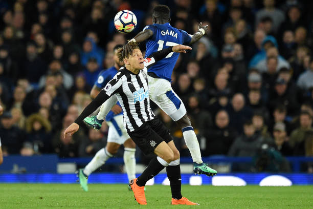 发新生的姿 发新生的姿